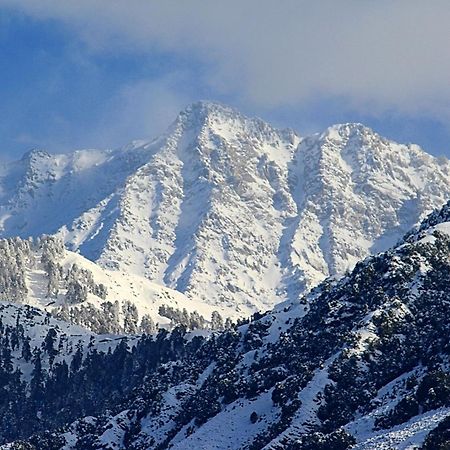 Hotel Bliss Valley Dharamshala - Beautiful View Of Mountains From Rooms Exterior photo