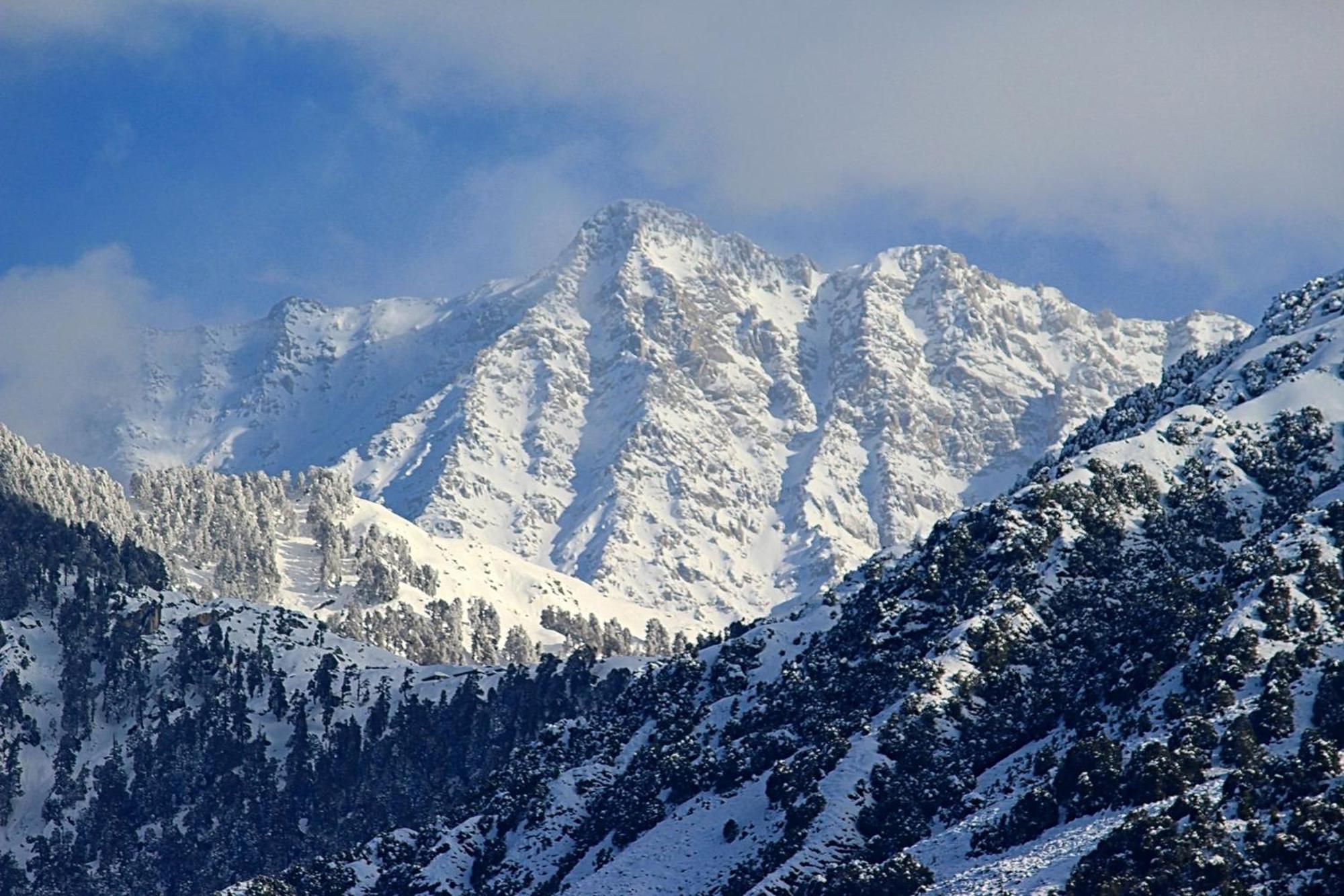 Hotel Bliss Valley Dharamshala - Beautiful View Of Mountains From Rooms Exterior photo
