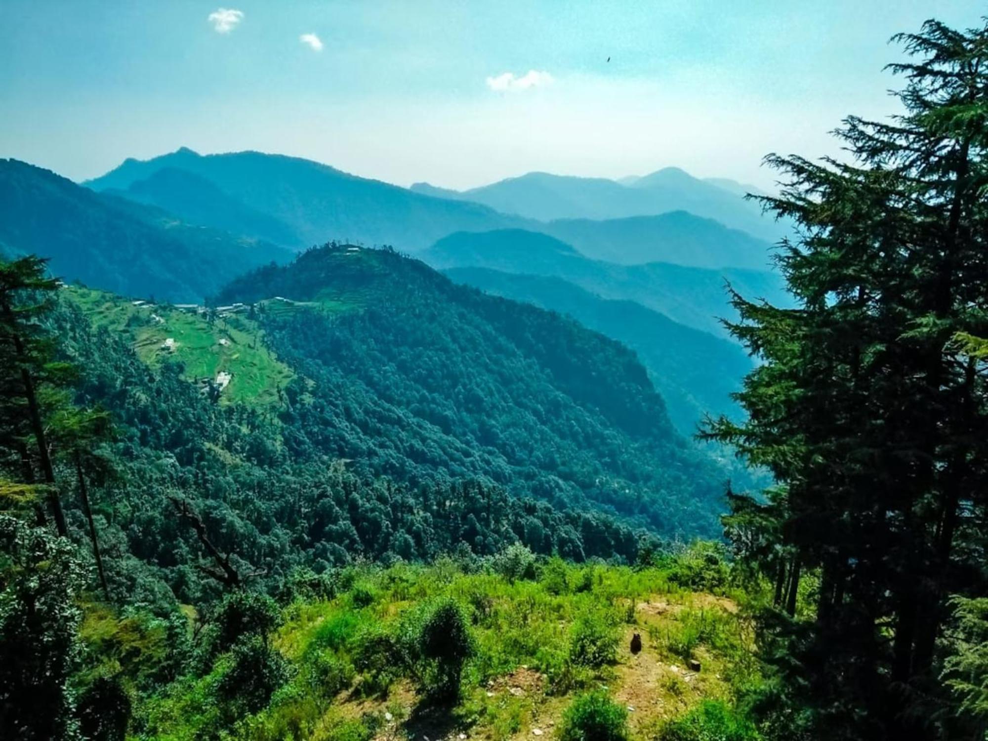 Hotel Bliss Valley Dharamshala - Beautiful View Of Mountains From Rooms Exterior photo